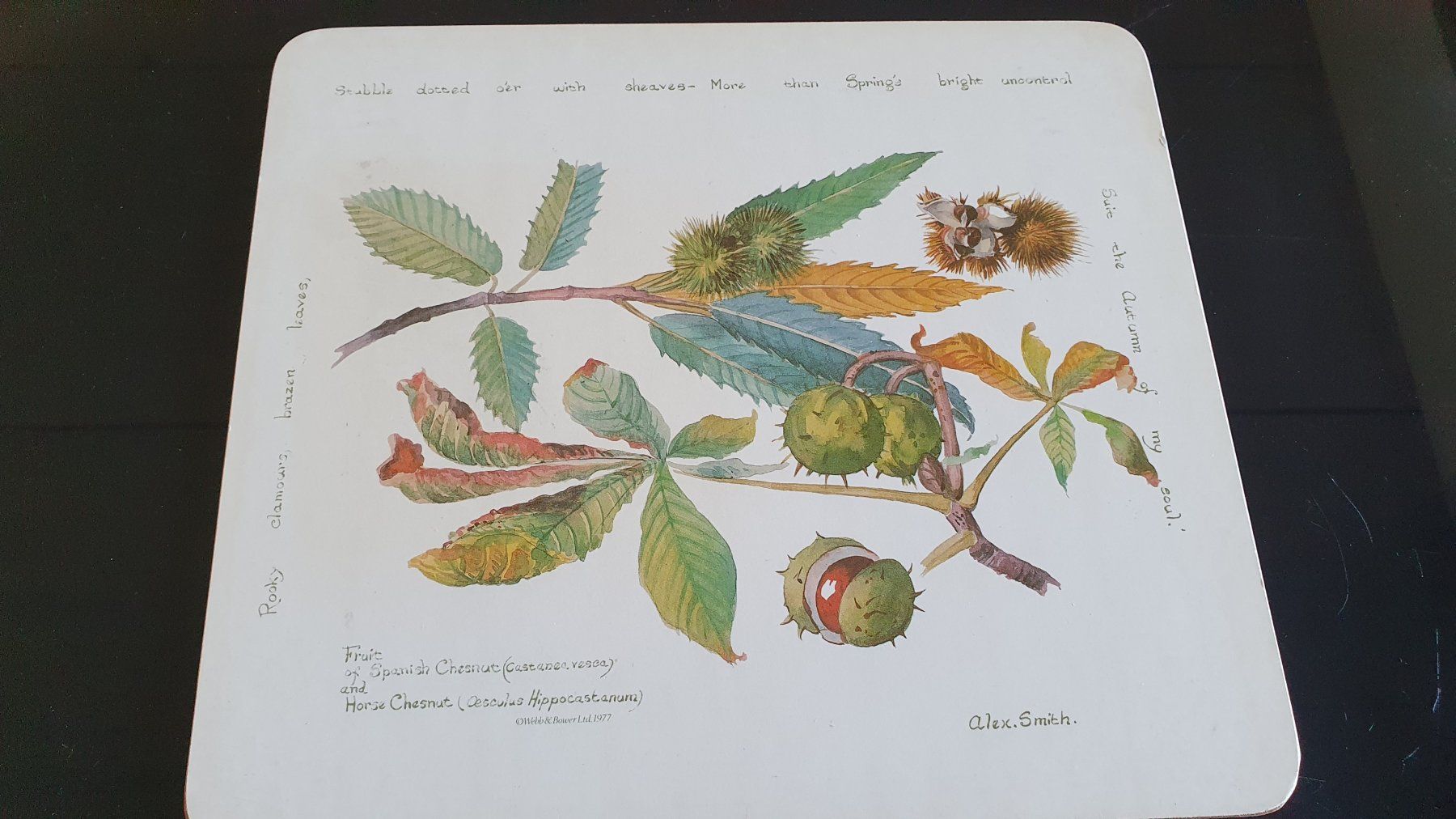 Untersetzer: 2 Vintage Kork Untersetzer – Gebraucht aus Giswil von online-Brockenhaus 2