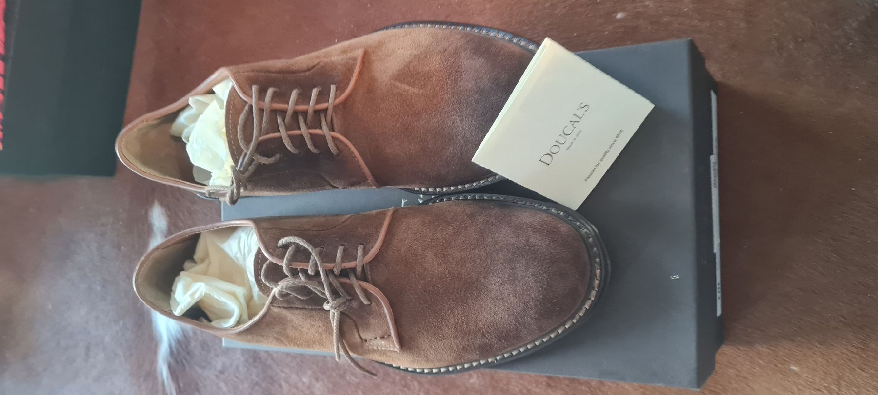 Scarpe da uomo: Doucals Schuh Wildleder 42 – Nuovo e nell'imballaggio originale da Altendorf venduto da nab_mxj7 5
