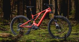 Specialized Turbo Levo Pro Carbon S5