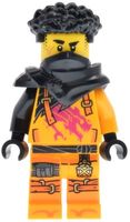 LEGO® Ninjago - Arin (njo0981)