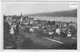 Wädenswil - Generalansicht