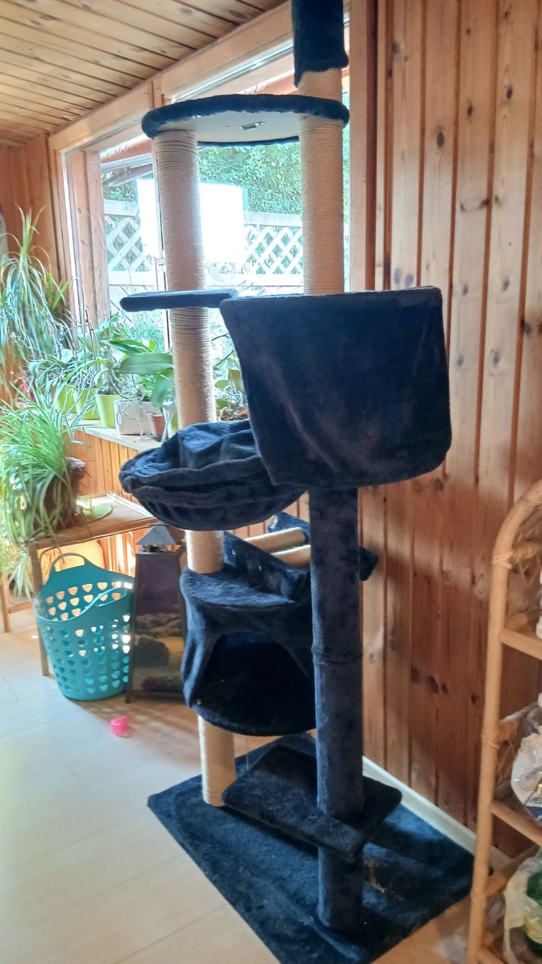 Katzenbaum - Kratzbaum: Katzenbaum – Gebraucht aus Wiedlisbach von Hobby2