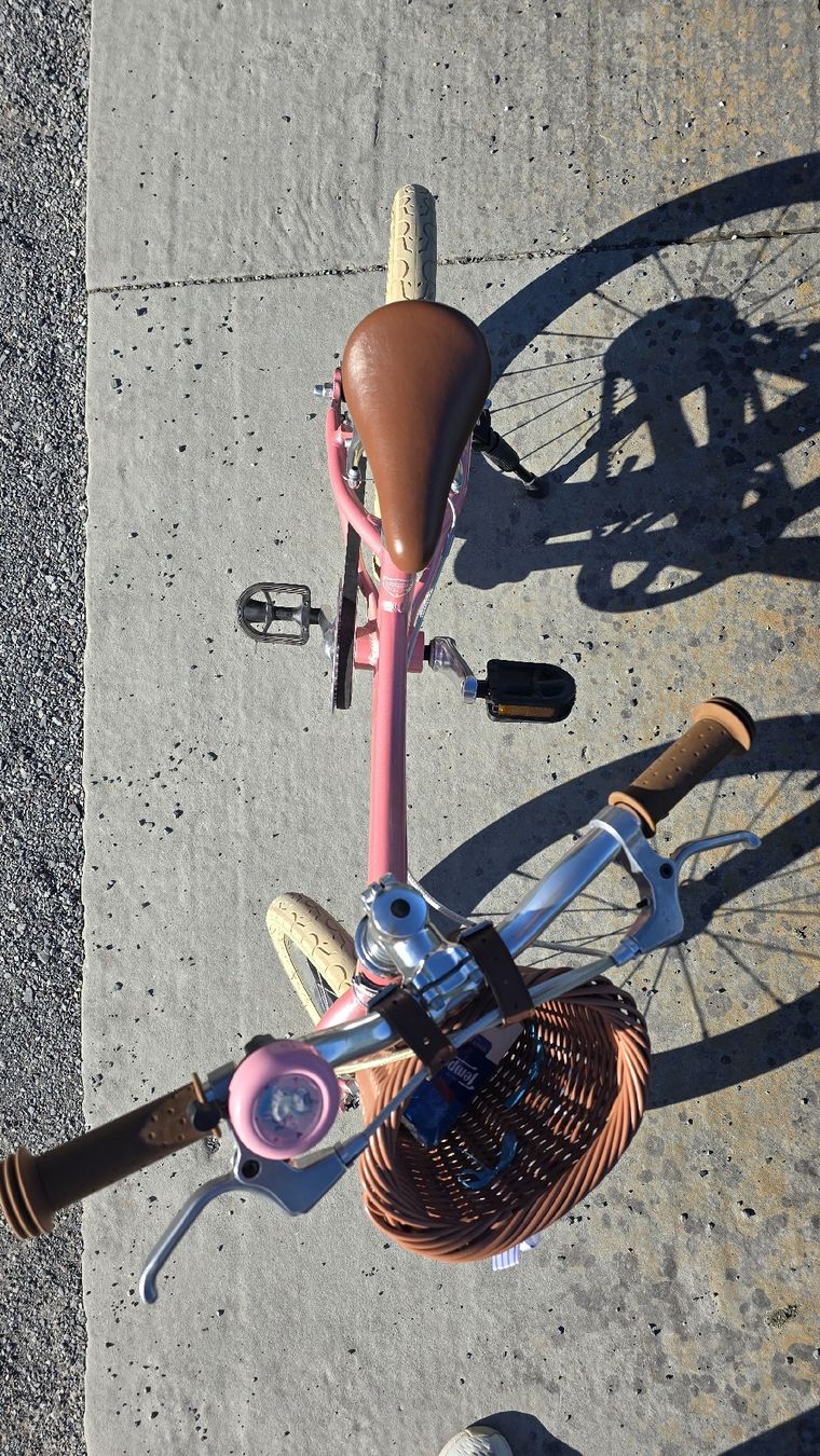 Siech Biciclette: Kindervelo Siech 16" – Usato da Zug venduto da zebbra192 5