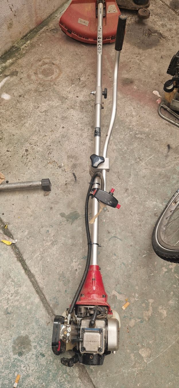 Einhell Tagliaerba: Rasentrimmer Einhell Defekt  – Difettoso da Romanshorn venduto da fag_gnd6