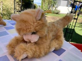 Steiff Katze Kuschel