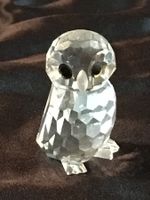 Swarovski Eule