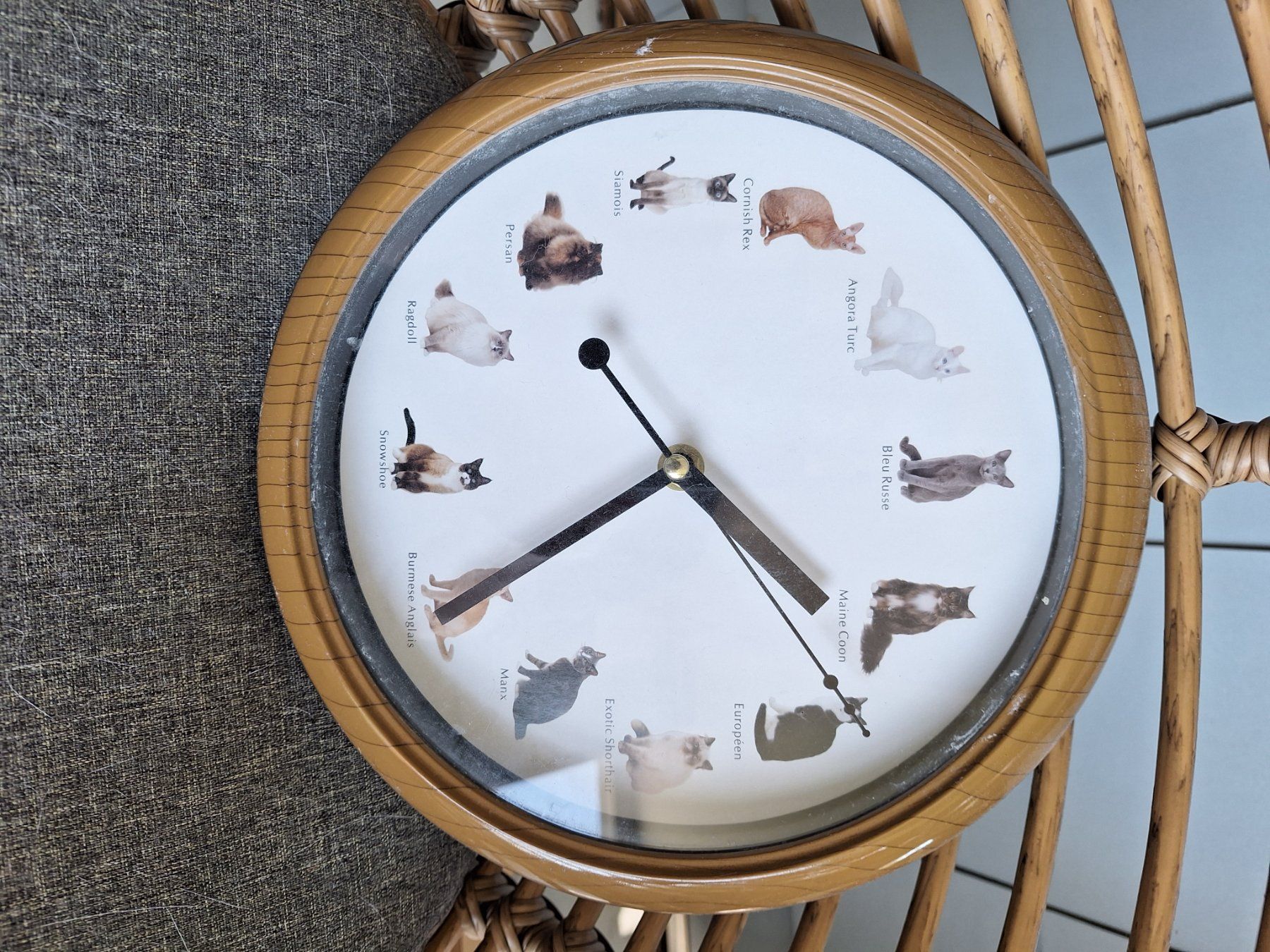 Orologi da terra & Orologi da parete: Pendule – Nuovo (secondo la descrizione) da Kloten venduto da flo_r5hm 3