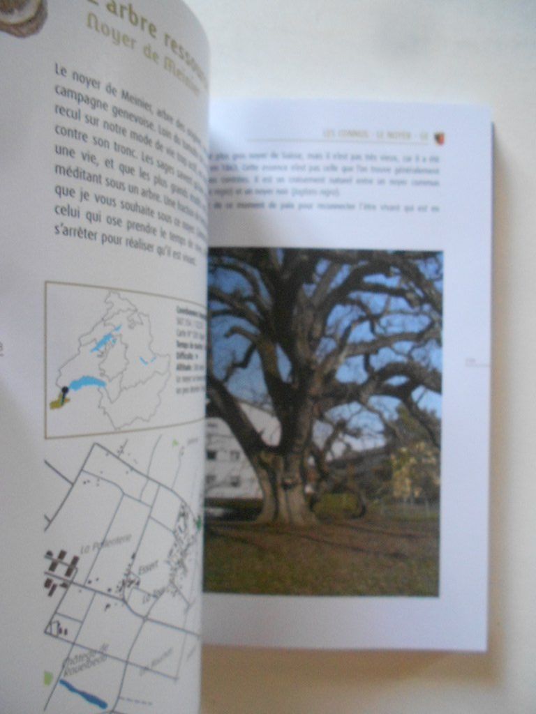 Bücher: GUIDE DES ARBRES EXTRAORDINAIRES DE SUISSE ROMANDE – Gebraucht aus Bex von Giorgiob 2