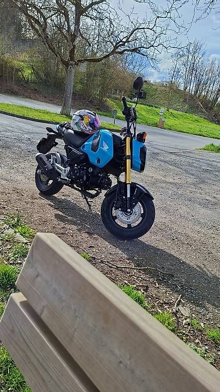 Strada: Honda Grom  – Usato da Häggenschwil venduto da fan_p6v2
