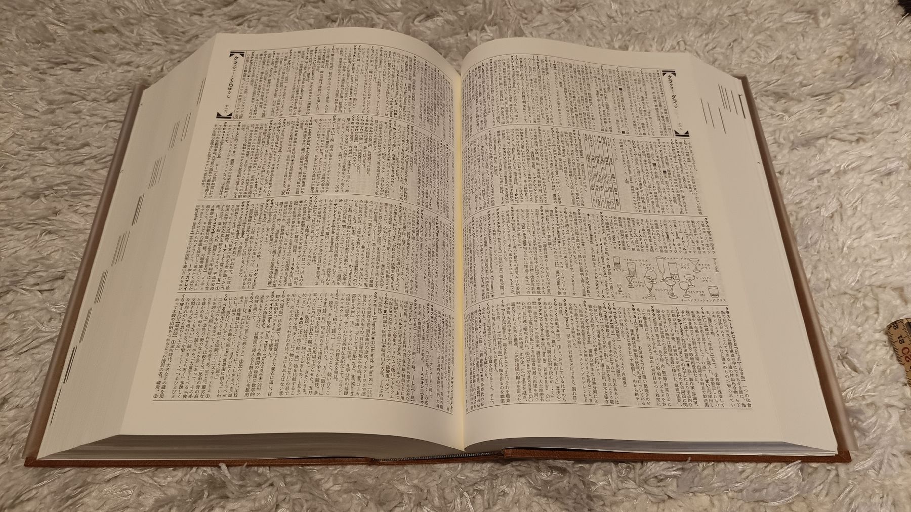 Libri: Daijirin Japanese Dictionary (1990) – Usato da Glarus venduto da tale1991 5