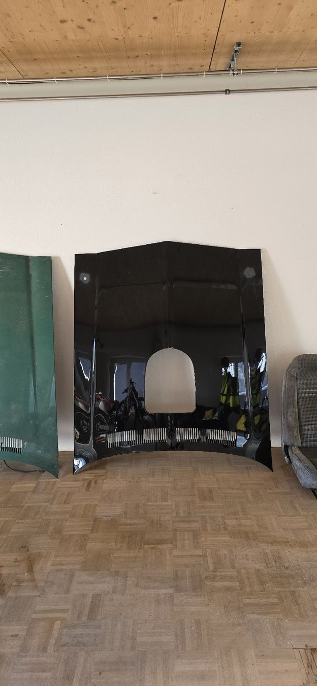 Tutti pezzi di ricambio auto: 70-73 Firebird Motorhaube – Usato da Visp venduto da sir_6vjr