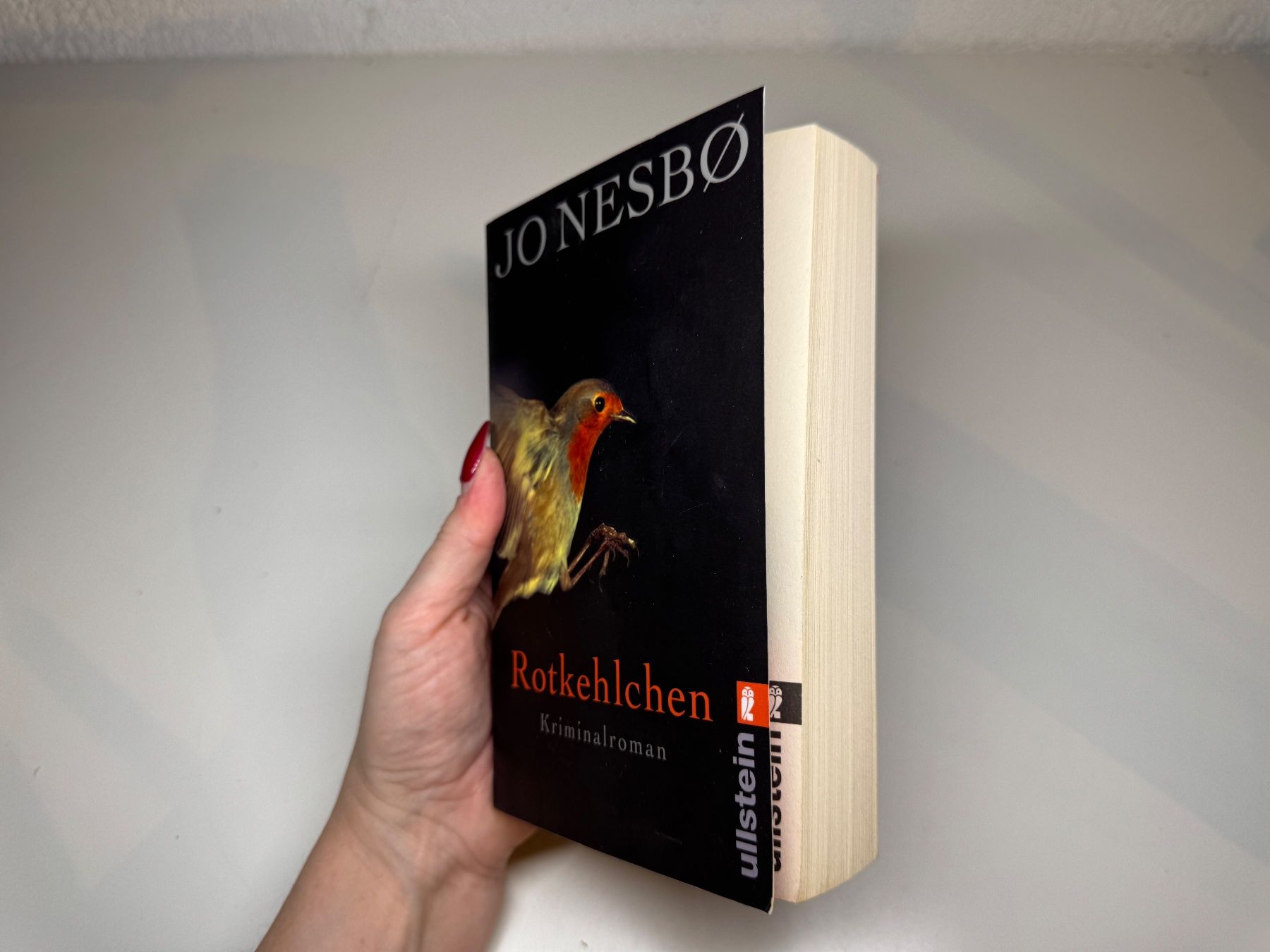 Libri: ROMAN: Jo Nesbo, Rotkehlchen – Usato da Grosswangen venduto da Deutsche_Romane 1