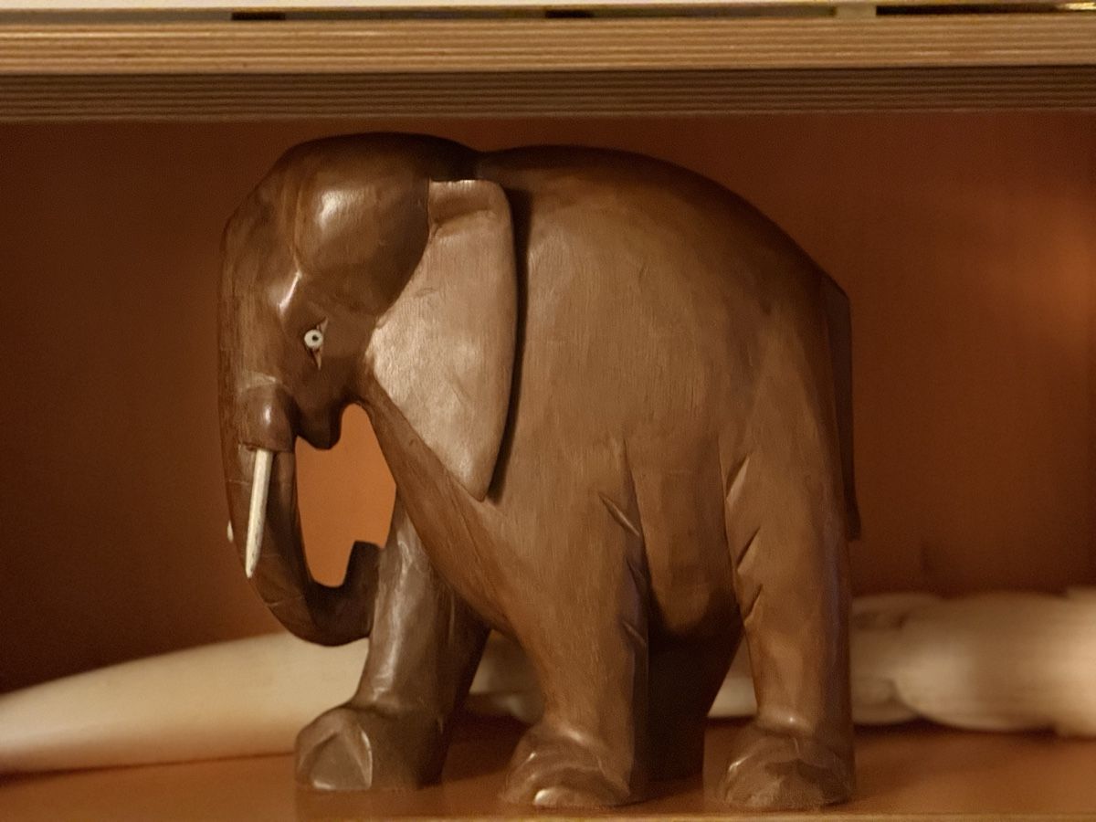 Sculture & Statue: Handgeschnitzter Holz-Elefant - Einzigartiges Sammlerstück – Usato da horgenberg venduto da Fredi63 4