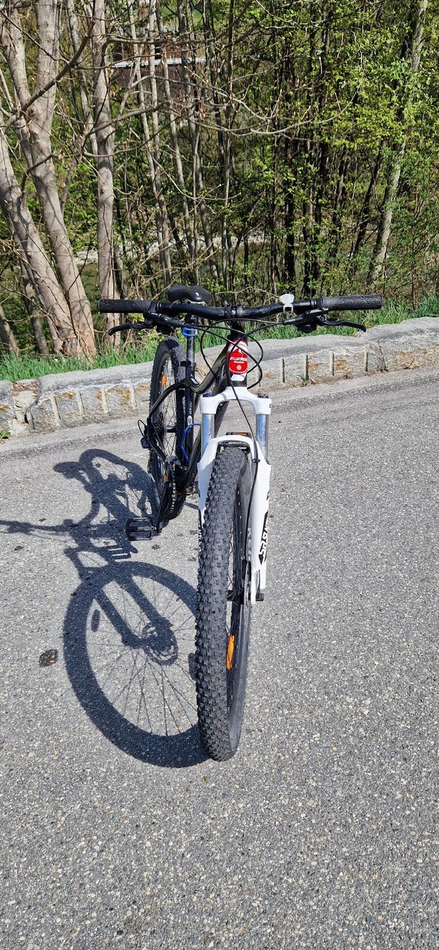 Scott Biciclette: Mountainbike Contessa 710 – Usato da Ilanz venduto da Vonsilvio 2