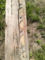 Eichen Altholz Balken