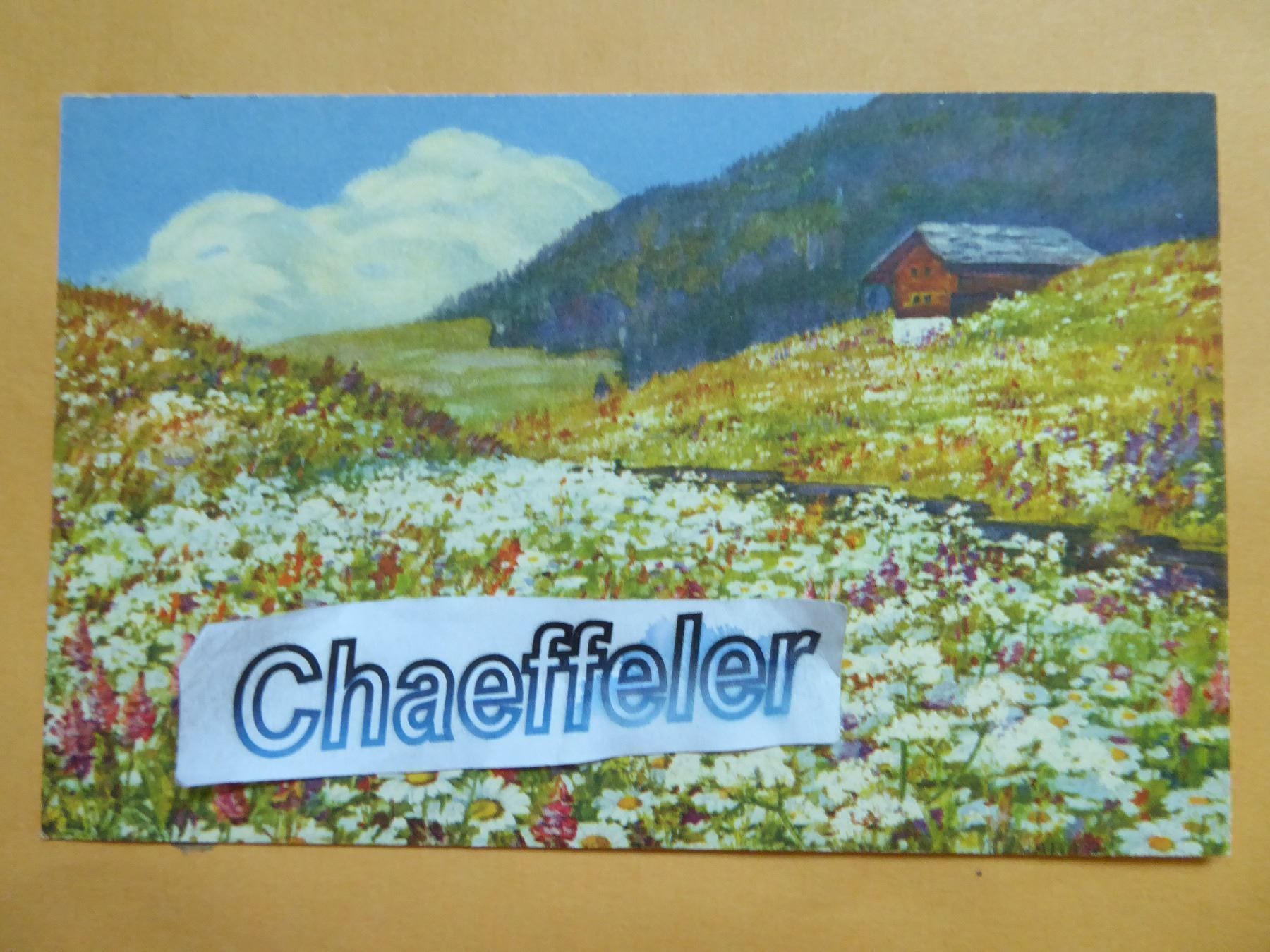 Cartoline postali: Ansichtskarte mit schöner Blumenwiese – Nuovo (secondo la descrizione) da Zürich venduto da Chaeffeler