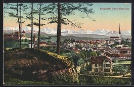 Burgdorf, Totalansicht mit Alpen im Hint
