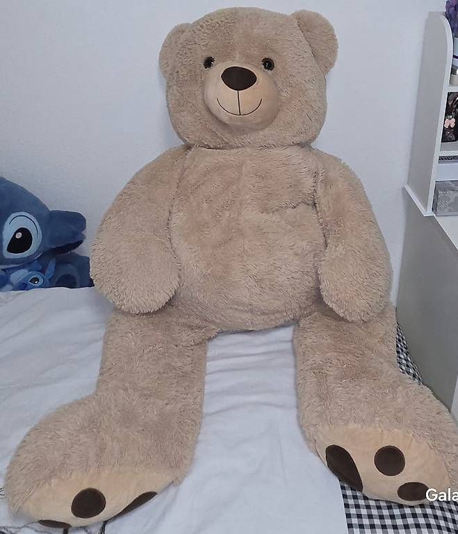 Spielzeuge: Teddybär  – Gebraucht aus St. Gallen von ruz_t5lk