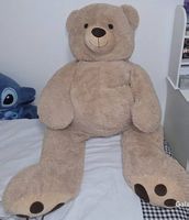 Teddybär 
