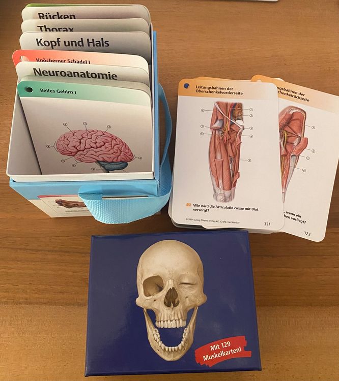 Anatomie Lernmaterialien Bundle Medizin Studium | Kaufen Auf Ricardo