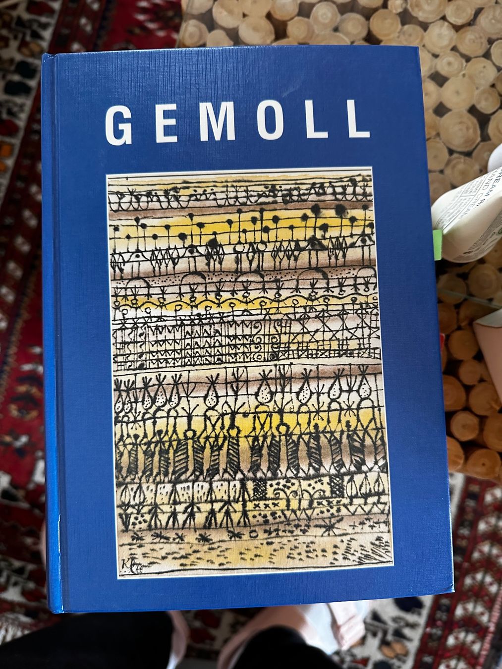 Livres: Gemoll Griechisch Wörterbuch – Neuf (Voir description) à Pfäffikon SZ par alisnr