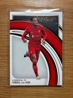 Panini Immaculate Virgil Van Dijk Liverpool /75