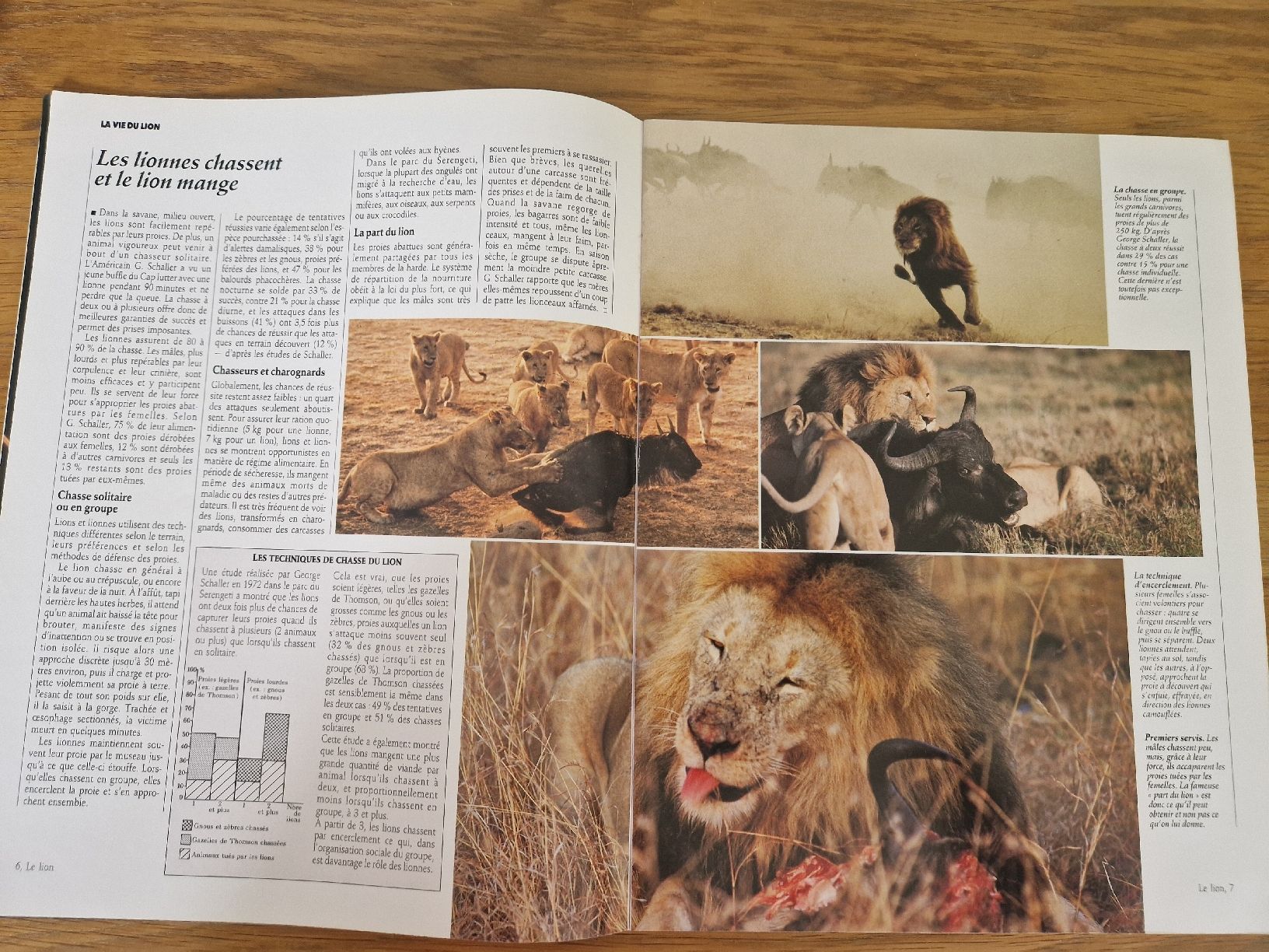 Riviste & Magazine: Vie sauvage - le lion – Nuovo (secondo la descrizione) da Villars-sur-Glâne venduto da Agnie80 1