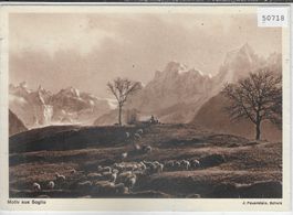 Motiv aus Soglio - Schafherde - Schweiz. Samariterbund