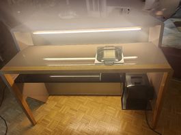 Design Bartheke mit Beleuchtung und Spülbecken  Unikat