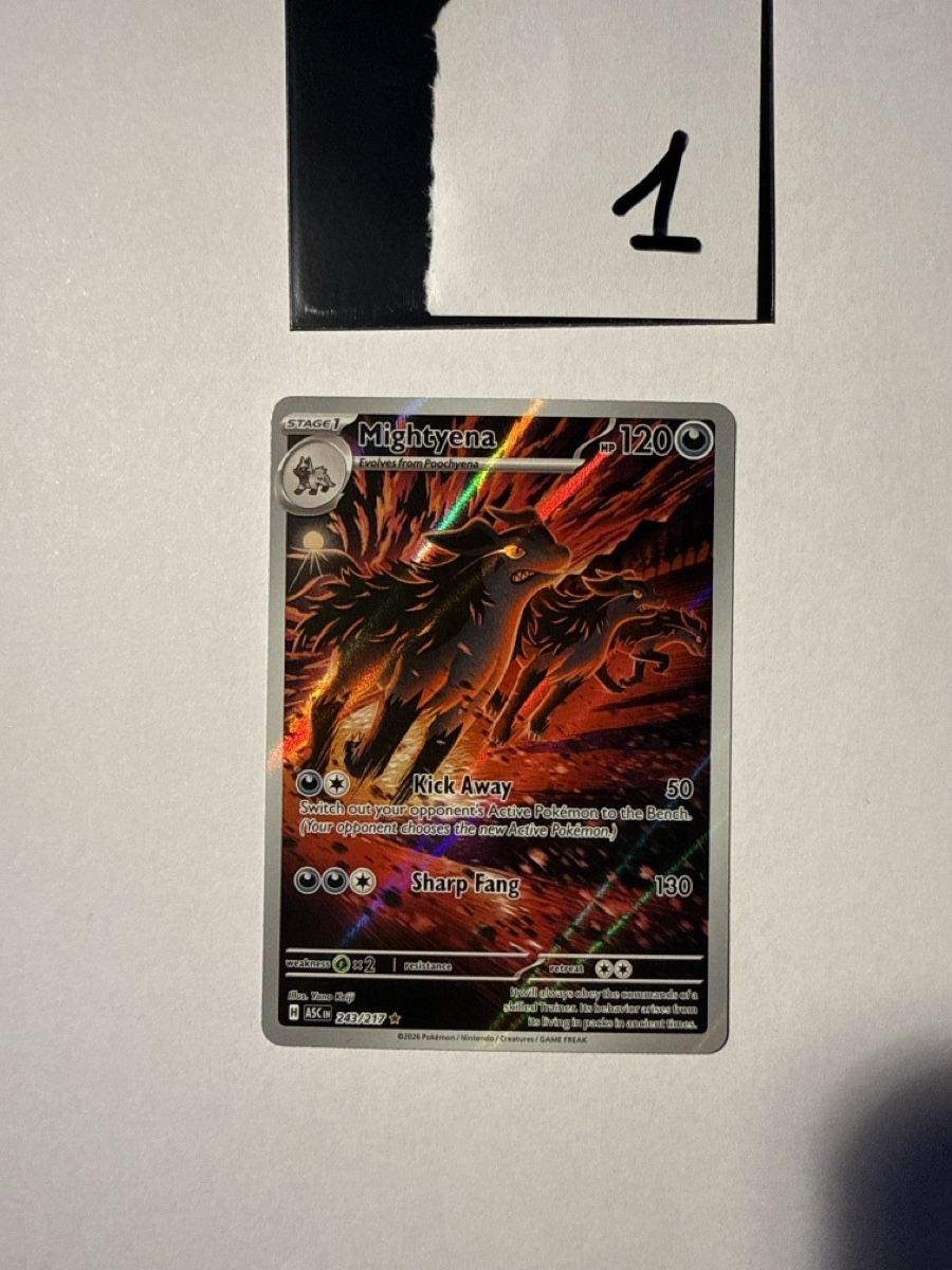 Pokémon Carte collezionabili: Mightyena - 243 – Nuovo (secondo la descrizione) da Ascona venduto da Prime333389