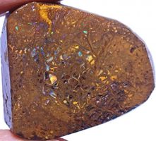 Koroit Opal Roh 59.90Cts.