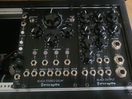 Erica Synths Black Stereo Delay