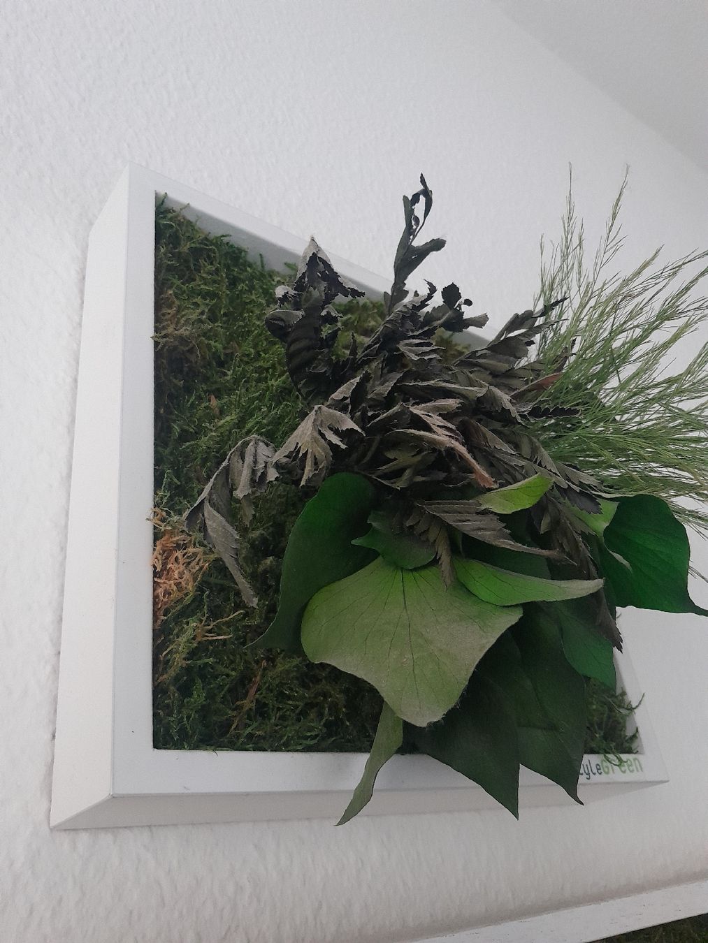 Posters & Illustrations: Echtmoosbild im Rahmen von StyleGreen – D'occasion à Olten par so.bi 2