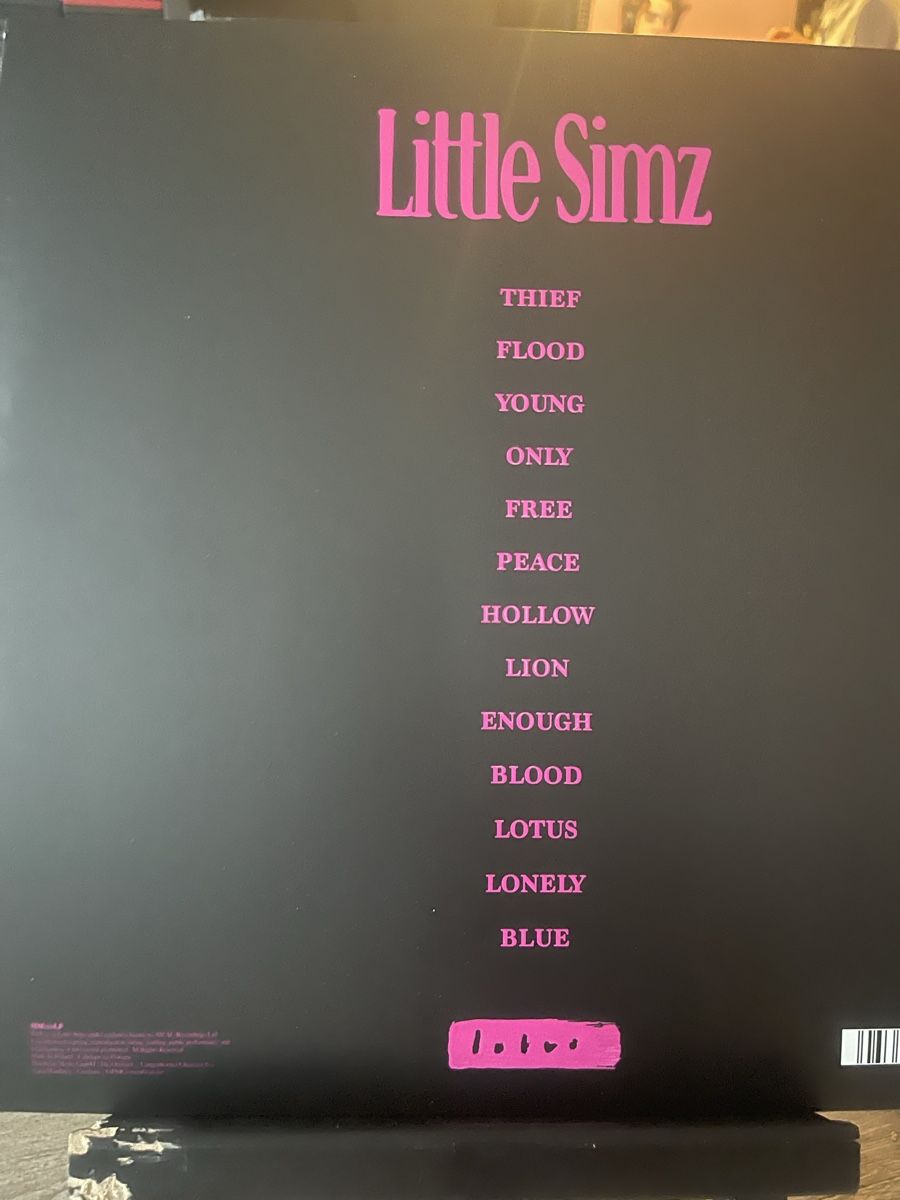 Dischi in vinile: Little Simz / Lotos – Nuovo (secondo la descrizione) da Dagmersellen venduto da stonefinger 1