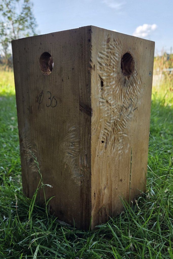 Petites maisons à oiseaux: Nistkasten mit 4 wählbaren Einfluglöchern – D'occasion à Stein par Sahara04 2