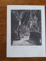 GORGE DE TRIENT