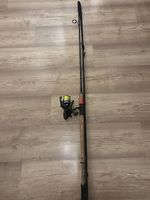 Spinnrute 10-30gr 270cm