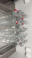 Bügelverschlussflaschen Set 10 Stück akzeptabel