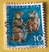 Nr.J 211 GESTEMPELT Alpenmurmeltier 1965   