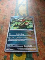 POKEMON  Brute bonnet   H  TWM EN   118/167   HP120   2024