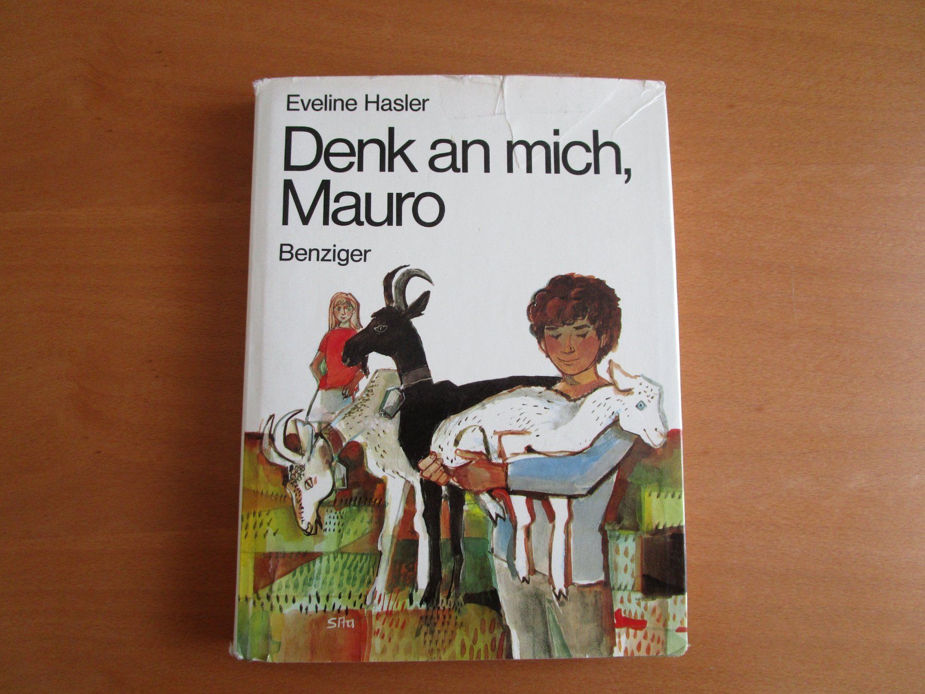 Bücher: Buch: Denk an mich Mauro – Gebraucht aus Langenthal von majarose