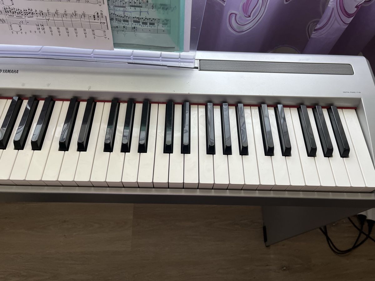 Yamaha Strumenti musicali: Yamaha Piano P-85 – Usato da Rothenburg venduto da sla_rn6q 5