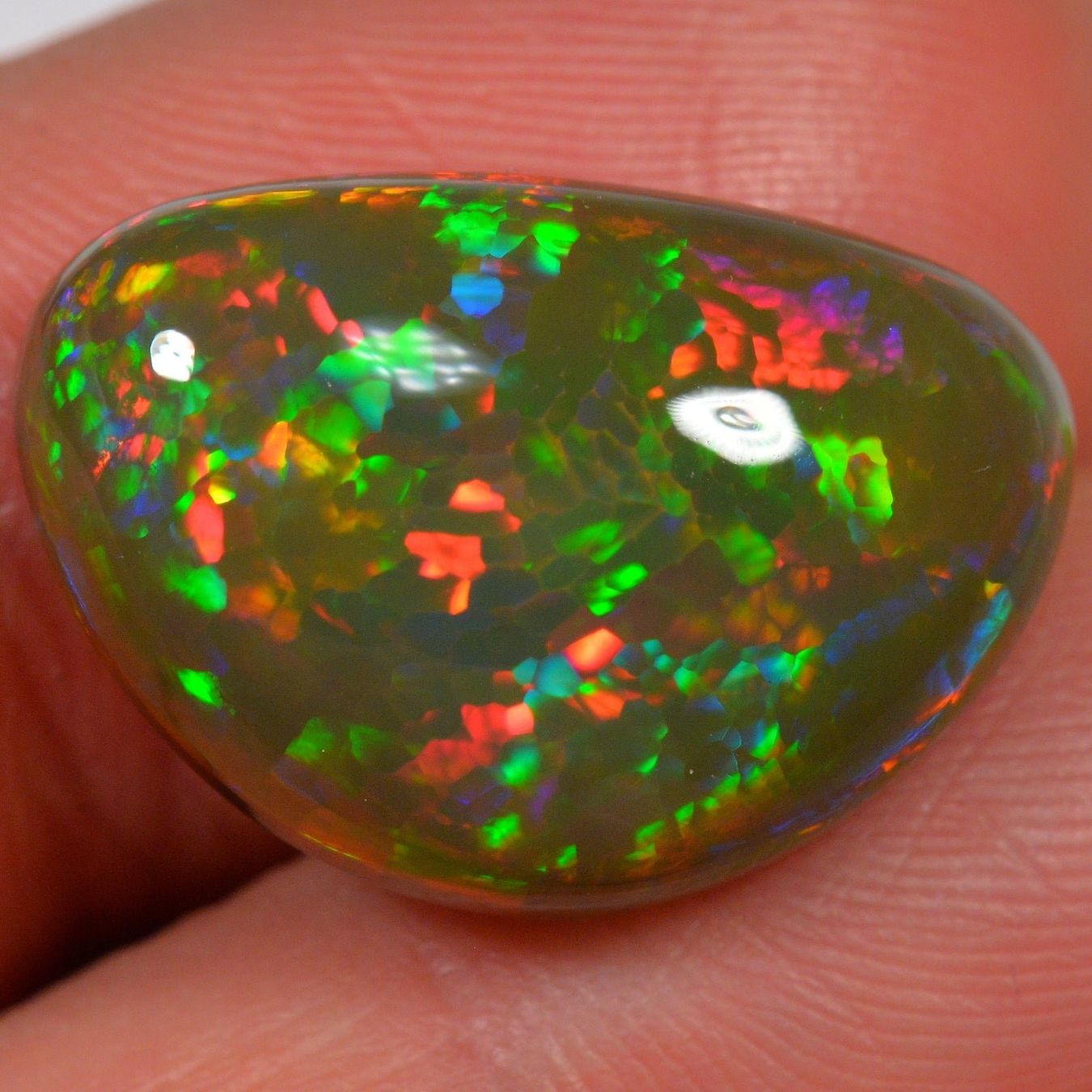 Pietre preziose: 14.4 Karat - Äthiopischer Welo Opal – Nuovo (secondo la descrizione) da Rüti ZH venduto da DeinOpal 1
