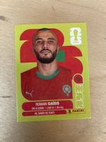 Panini MAR7