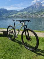 Custom-Built Specialized Carbon Hardtail 29” - L - 10.3 kg