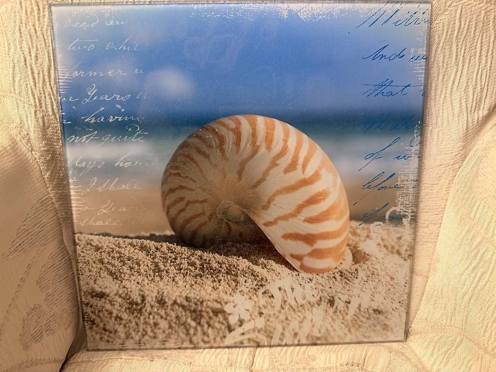 Foto & Immagini: Glasbild mit Original Nautilus Muschel – Usato da Weggis venduto da urs_rj7p 1