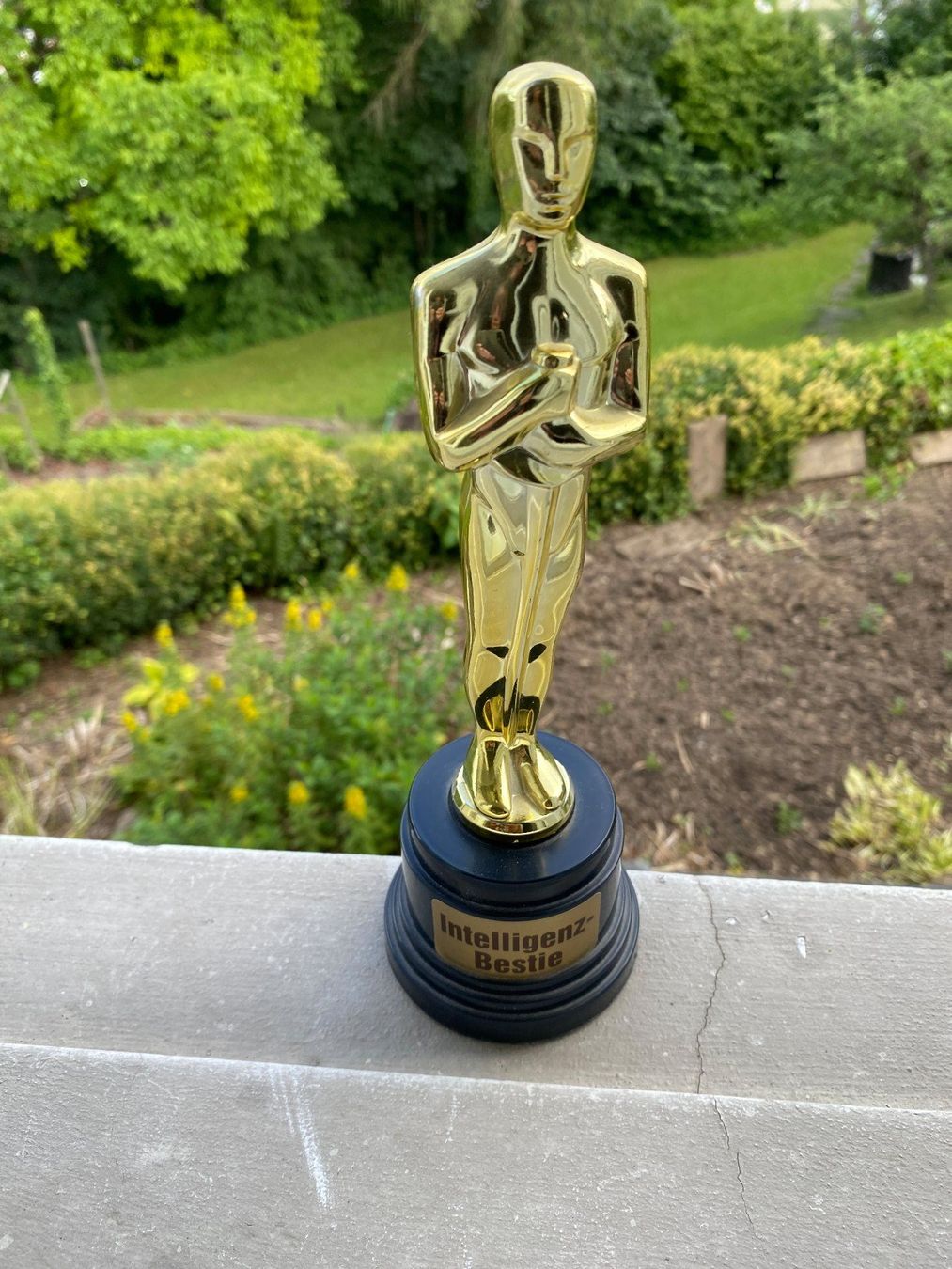 Sculture & Statue: Pokal Intelligenz-Bestie – Usato da Weinfelden venduto da Cheyenne21 3