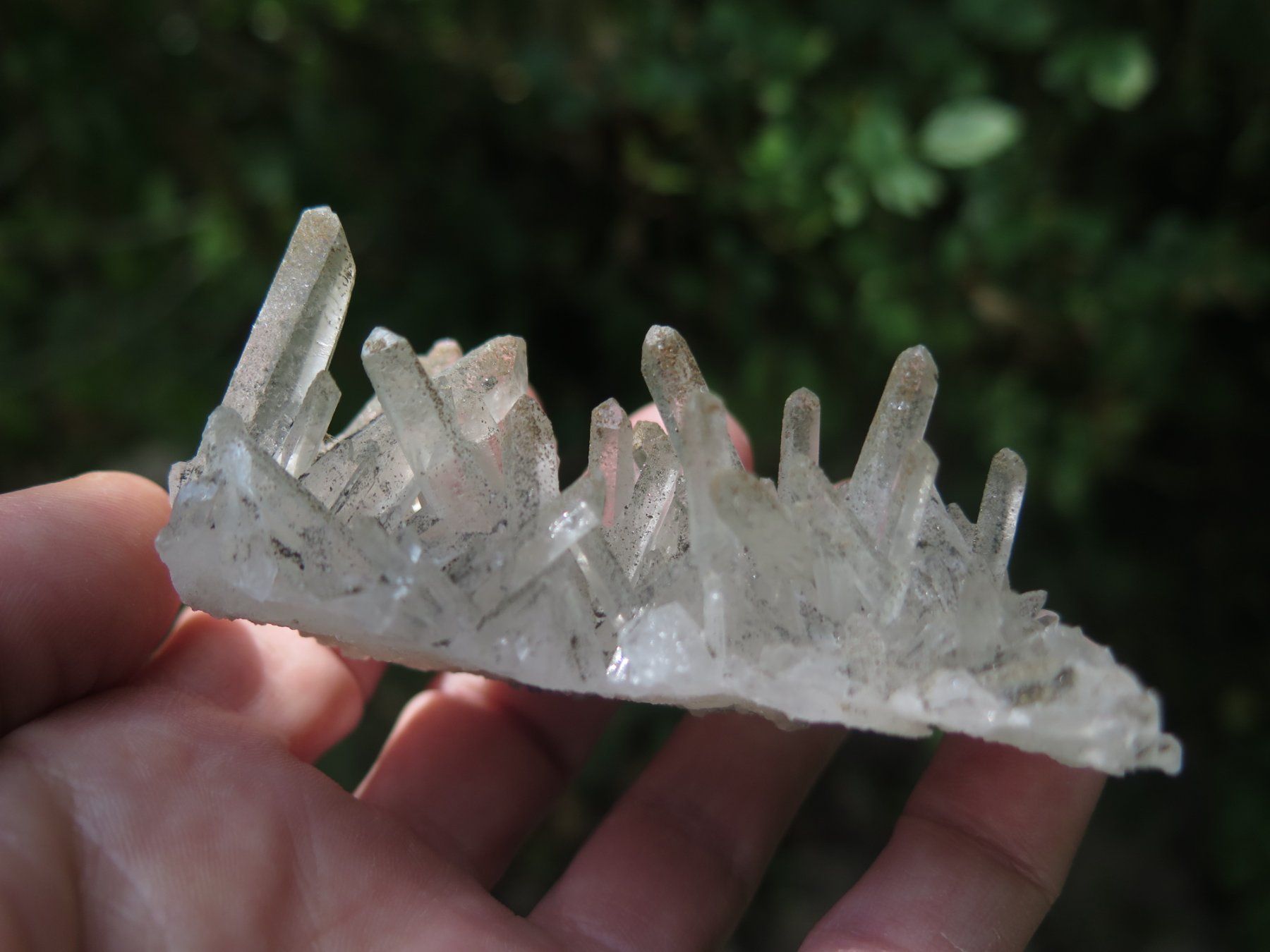 Minerali & Pietre curative: Bergkristall mit Chlorit von Mexico – Usato da Schaffhausen venduto da Yamakana51L8736OQ8 7