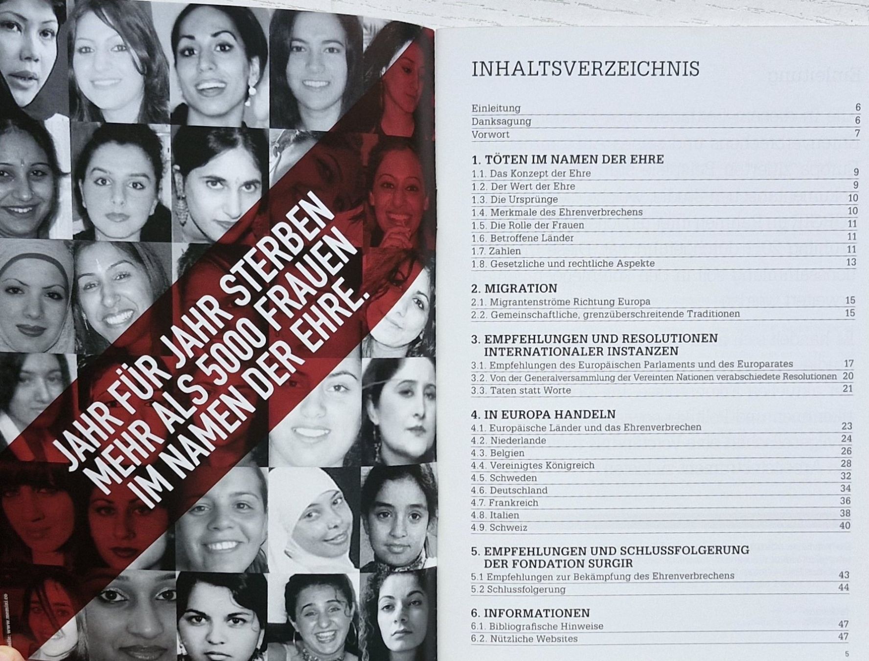 Libri: Bekämpfung von Ehrenverbrechen in EUROPA (2011) – Nuovo (secondo la descrizione) da Bern venduto da Mattthias 2
