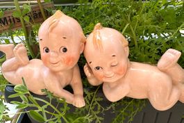 2 vintage  Kewpie Puppen Neundorf Porzellan